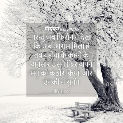 Picture 04 - निर्गमन 8:15 HINIRV - परन्तु जब फ़िरौन - Bible Verse Picture