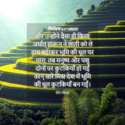 Picture 04 - निर्गमन 8:17 HINIRV - और उन्होंने वैसा - Bible Verse Picture