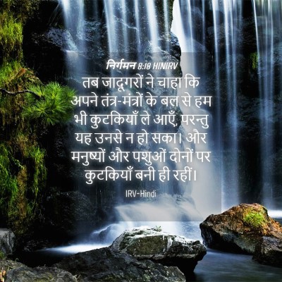Picture 04 - निर्गमन 8:18 HINIRV - तब जादूगरों ने - Bible Verse Picture