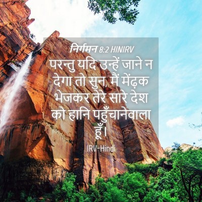 Picture 04 - निर्गमन 8:2 HINIRV - परन्तु यदि उन्हें - Bible Verse Picture