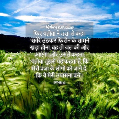 Picture 04 - निर्गमन 8:20 HINIRV - फिर यहोवा ने मूसा - Bible Verse Picture