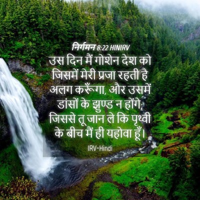 Picture 04 - निर्गमन 8:22 HINIRV - उस दिन मैं गोशेन - Bible Verse Picture