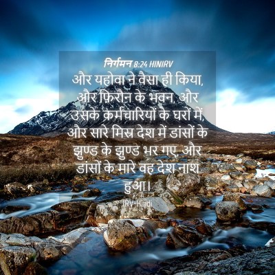 Picture 04 - निर्गमन 8:24 HINIRV - और यहोवा ने वैसा ही - Bible Verse Picture