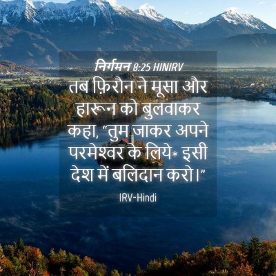 Picture 04 - निर्गमन 8:25 HINIRV - तब फ़िरौन ने मूसा - Bible Verse Picture