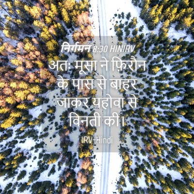 Picture 04 - निर्गमन 8:30 HINIRV - अतः मूसा ने फ़िरौन - Bible Verse Picture