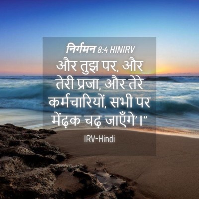 Picture 04 - निर्गमन 8:4 HINIRV - और तुझ पर, और तेरी - Bible Verse Picture
