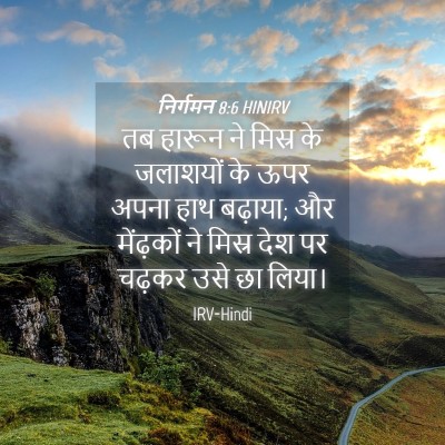Picture 04 - निर्गमन 8:6 HINIRV - तब हारून ने मिस्र - Bible Verse Picture