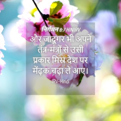 Picture 04 - निर्गमन 8:7 HINIRV - और जादूगर भी अपने - Bible Verse Picture