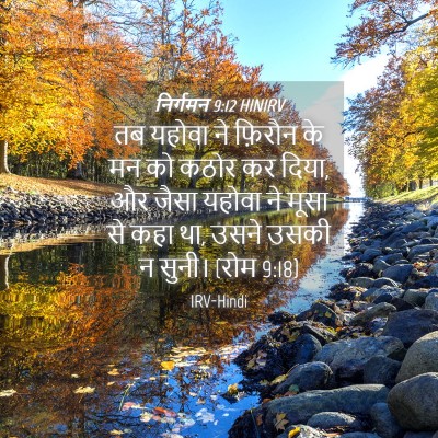 Picture 04 - निर्गमन 9:12 HINIRV - तब यहोवा ने फ़िरौन - Bible Verse Picture