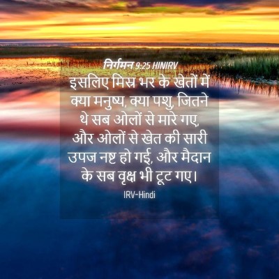 Picture 04 - निर्गमन 9:25 HINIRV - इसलिए मिस्र भर के - Bible Verse Picture