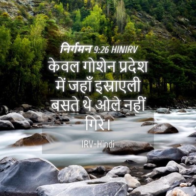 Picture 04 - निर्गमन 9:26 HINIRV - केवल गोशेन प्रदेश - Bible Verse Picture