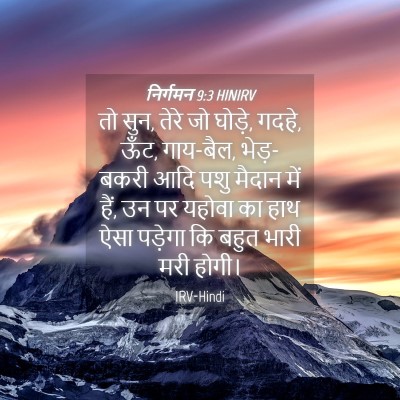Picture 04 - निर्गमन 9:3 HINIRV - तो सुन, तेरे जो - Bible Verse Picture