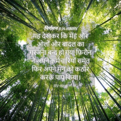 Picture 04 - निर्गमन 9:34 HINIRV - यह देखकर कि मेंह और - Bible Verse Picture