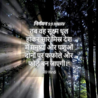 Picture 04 - निर्गमन 9:9 HINIRV - तब वह सूक्ष्म धूल - Bible Verse Picture