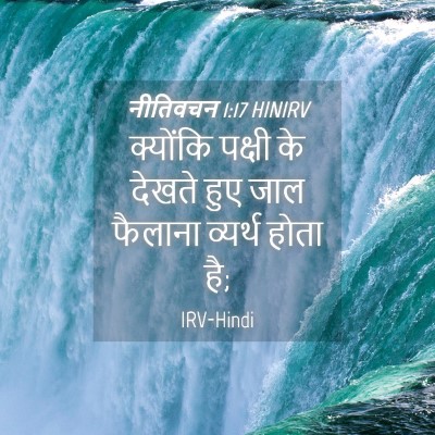Picture 04 - नीतिवचन 1:17 HINIRV - क्योंकि पक्षी के - Bible Verse Picture