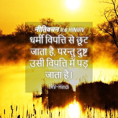 Picture 04 - नीतिवचन 11:8 HINIRV - धर्मी विपत्ति से - Bible Verse Picture