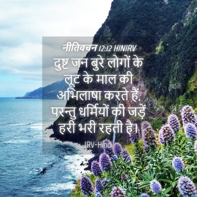 Picture 04 - नीतिवचन 12:12 HINIRV - दुष्ट जन बुरे - Bible Verse Picture