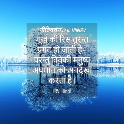 Picture 04 - नीतिवचन 12:16 HINIRV - मूर्ख की रिस - Bible Verse Picture