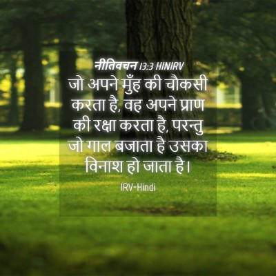 Picture 04 - नीतिवचन 13:3 HINIRV - जो अपने मुँह की - Bible Verse Picture