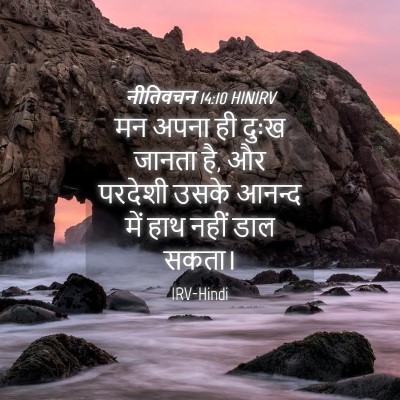 Picture 04 - नीतिवचन 14:10 HINIRV - मन अपना ही दुःख - Bible Verse Picture