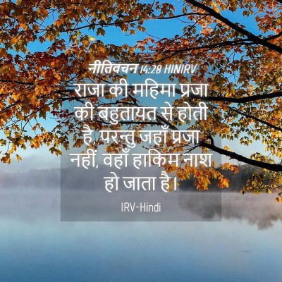 Picture 04 - नीतिवचन 14:28 HINIRV - राजा की महिमा - Bible Verse Picture