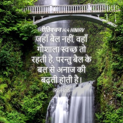 Picture 04 - नीतिवचन 14:4 HINIRV - जहाँ बैल नहीं, वहाँ - Bible Verse Picture