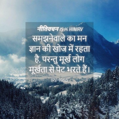 Picture 04 - नीतिवचन 15:14 HINIRV - समझनेवाले का मन - Bible Verse Picture