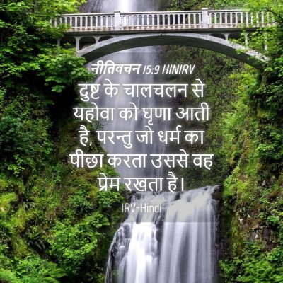 Picture 04 - नीतिवचन 15:9 HINIRV - दुष्ट के चालचलन से - Bible Verse Picture