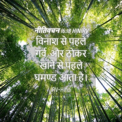 Picture 04 - नीतिवचन 16:18 HINIRV - विनाश से पहले गर्व, - Bible Verse Picture