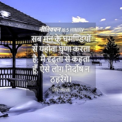 Picture 04 - नीतिवचन 16:5 HINIRV - सब मन के घमण्डियों - Bible Verse Picture