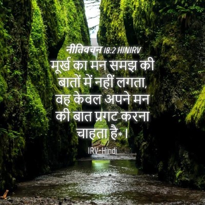 Picture 04 - नीतिवचन 18:2 HINIRV - मूर्ख का मन समझ की - Bible Verse Picture