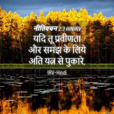 Picture 04 - नीतिवचन 2:3 HINIRV - यदि तू प्रवीणता और - Bible Verse Picture