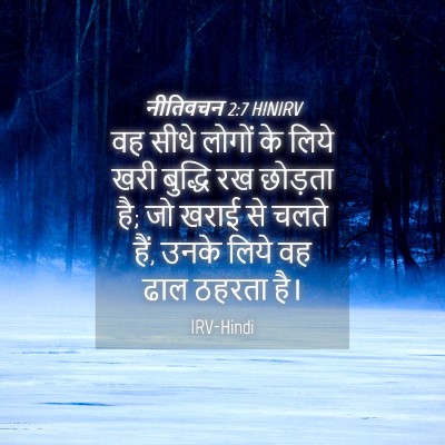 Picture 04 - नीतिवचन 2:7 HINIRV - वह सीधे लोगों के - Bible Verse Picture
