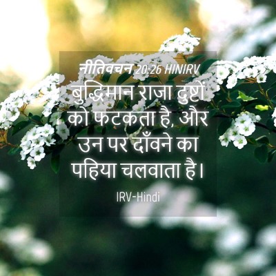 Picture 04 - नीतिवचन 20:26 HINIRV - बुद्धिमान राजा - Bible Verse Picture