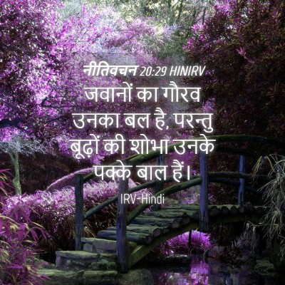 Picture 04 - नीतिवचन 20:29 HINIRV - जवानों का गौरव - Bible Verse Picture