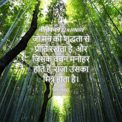 Picture 04 - नीतिवचन 22:11 HINIRV - जो मन की शुद्धता से - Bible Verse Picture
