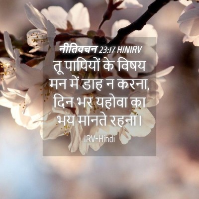 Picture 04 - नीतिवचन 23:17 HINIRV - तू पापियों के विषय - Bible Verse Picture