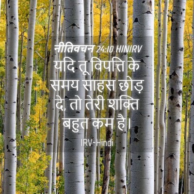 Picture 04 - नीतिवचन 24:10 HINIRV - यदि तू विपत्ति के - Bible Verse Picture
