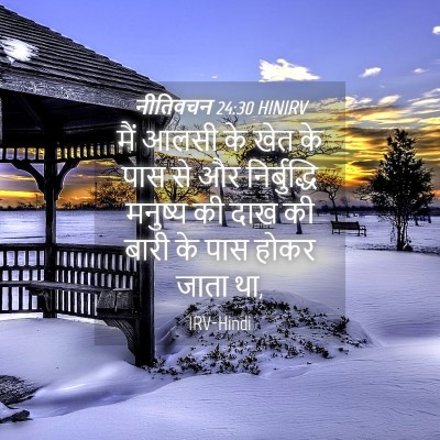 Picture 04 - नीतिवचन 24:30 HINIRV - मैं आलसी के खेत के - Bible Verse Picture