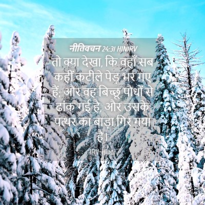 Picture 04 - नीतिवचन 24:31 HINIRV - तो क्या देखा, कि - Bible Verse Picture