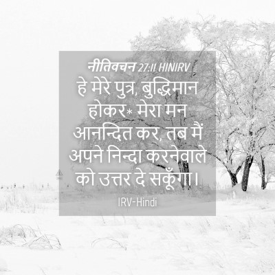 Picture 04 - नीतिवचन 27:11 HINIRV - हे मेरे पुत्र, - Bible Verse Picture
