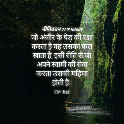 Picture 04 - नीतिवचन 27:18 HINIRV - जो अंजीर के पेड़ की - Bible Verse Picture