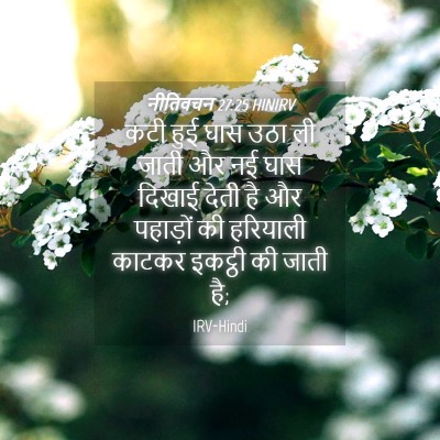 Picture 04 - नीतिवचन 27:25 HINIRV - कटी हुई घास उठा ली - Bible Verse Picture