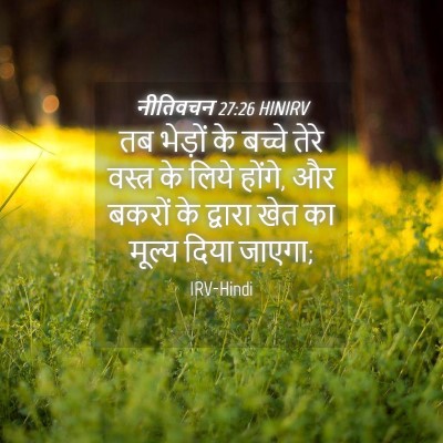 Picture 04 - नीतिवचन 27:26 HINIRV - तब भेड़ों के बच्चे - Bible Verse Picture