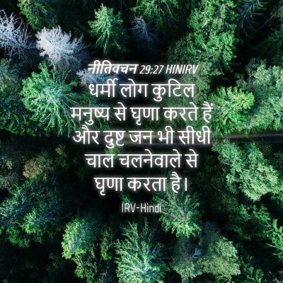 Picture 04 - नीतिवचन 29:27 HINIRV - धर्मी लोग कुटिल - Bible Verse Picture