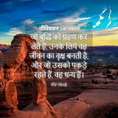 Picture 04 - नीतिवचन 3:18 HINIRV - जो बुद्धि को ग्रहण - Bible Verse Picture