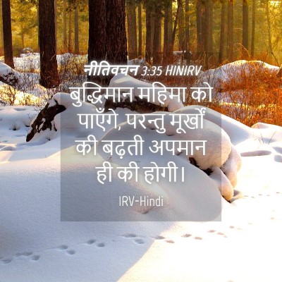 Picture 04 - नीतिवचन 3:35 HINIRV - बुद्धिमान महिमा - Bible Verse Picture