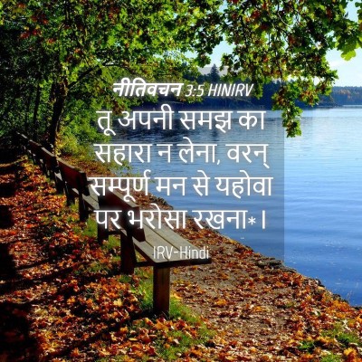 Picture 04 - नीतिवचन 3:5 HINIRV - तू अपनी समझ का - Bible Verse Picture