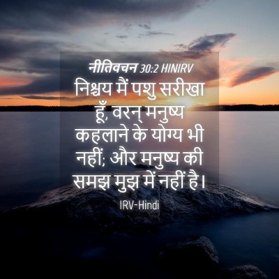 Picture 04 - नीतिवचन 30:2 HINIRV - निश्चय मैं पशु - Bible Verse Picture