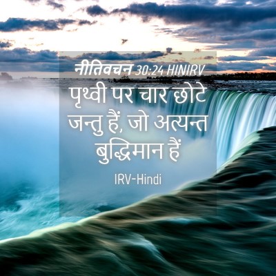 Picture 04 - नीतिवचन 30:24 HINIRV - पृथ्वी पर चार छोटे - Bible Verse Picture